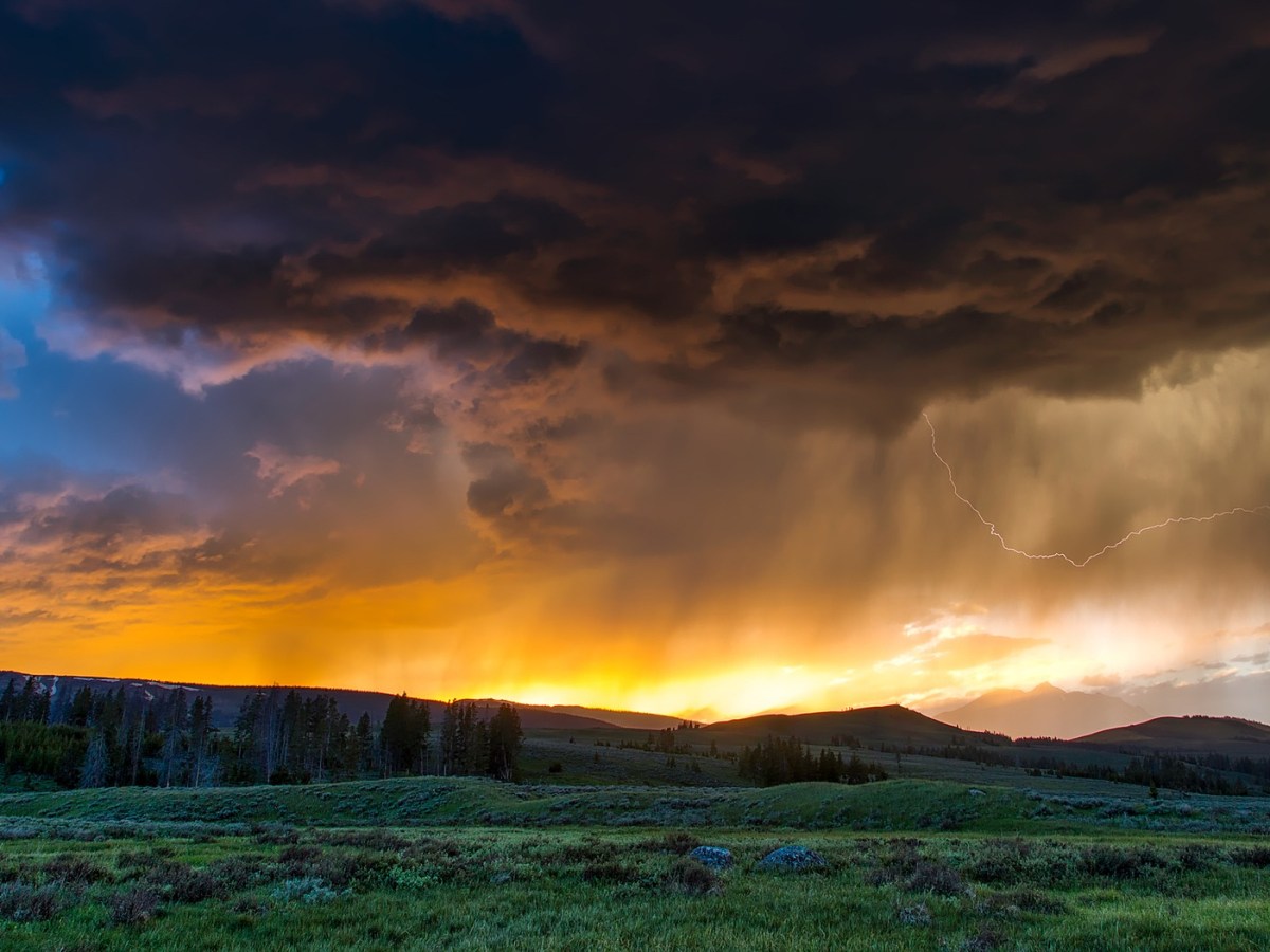 O quê não nos mata, nos fortalece…